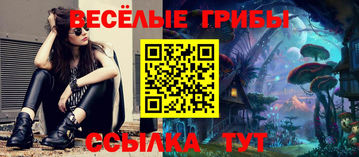 Псилоцибиновые грибы MAGIC MUSHROOMS  Вход с VPN  Псилоцибиновые грибы Cubensis  Горячий Ключ 